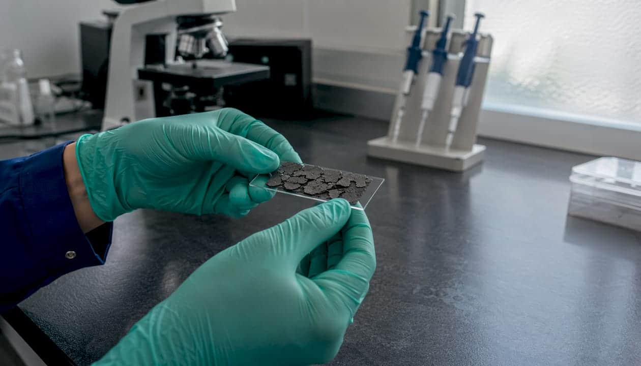 Lab technician examining solvent damage on membrane