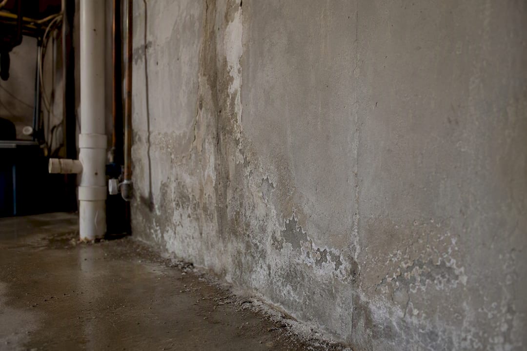 Close-up of damp basement wall signs