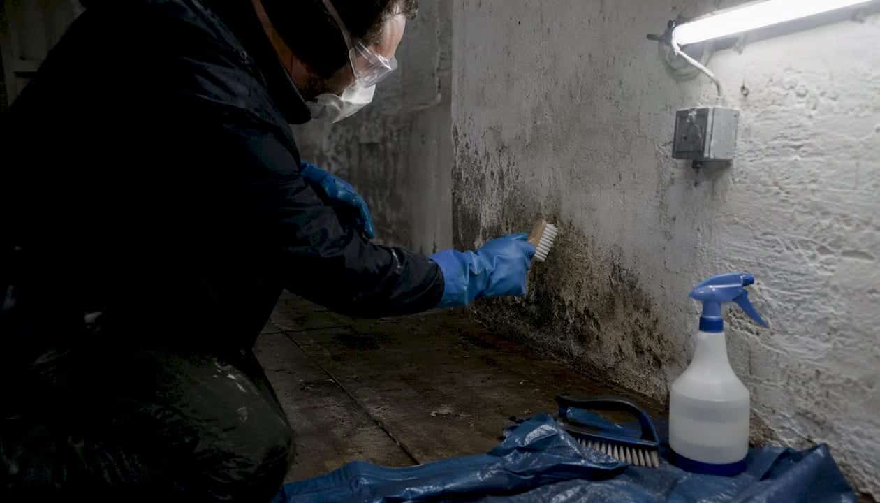 Person scrubbing mould on basement wall