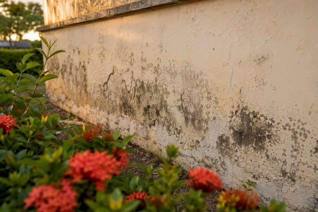 Damp damaged exterior wall with ventilation gap