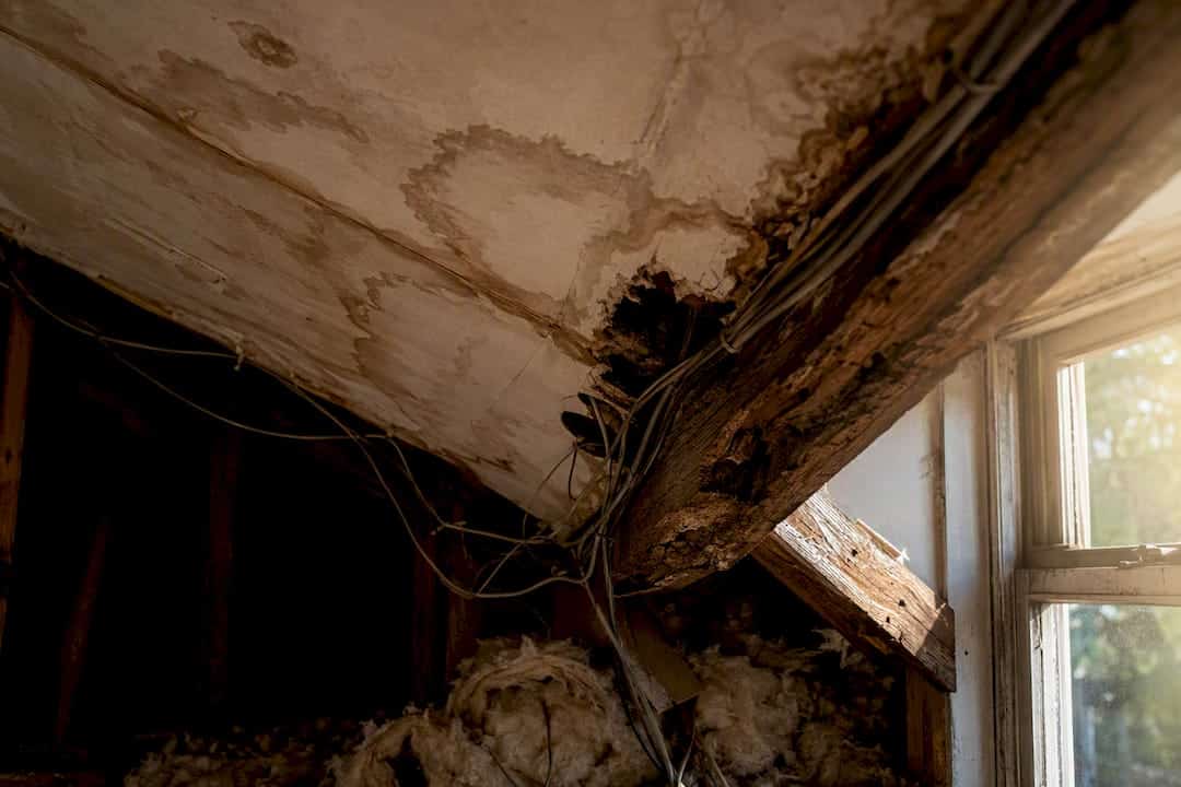 Water-damaged attic beam and electrical wiring