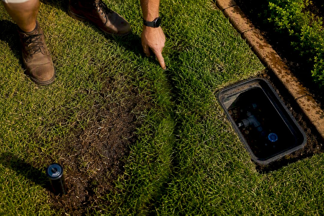 Soggy grass revealing irrigation pipe leak