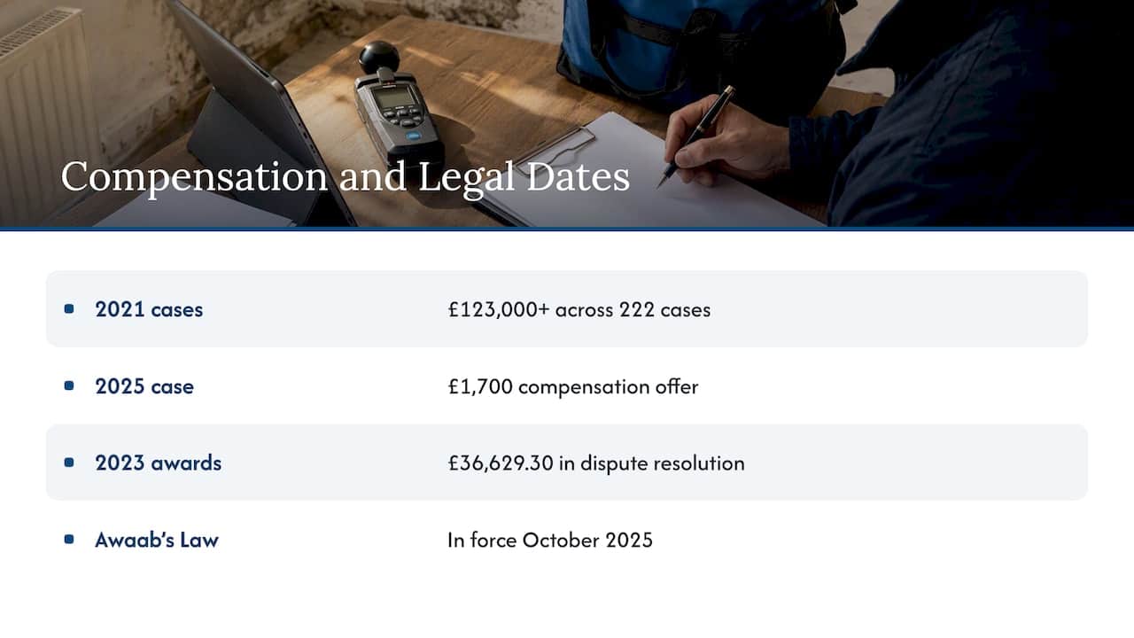 The legal and compensation layer — overview diagram