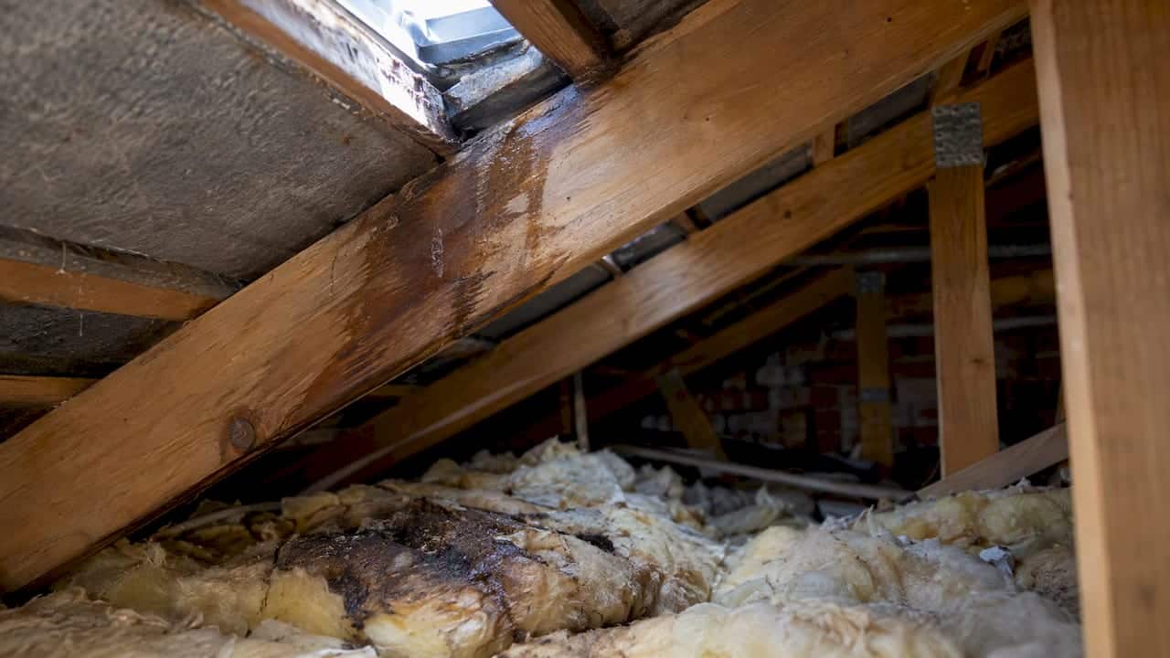 Water staining along a roof timber